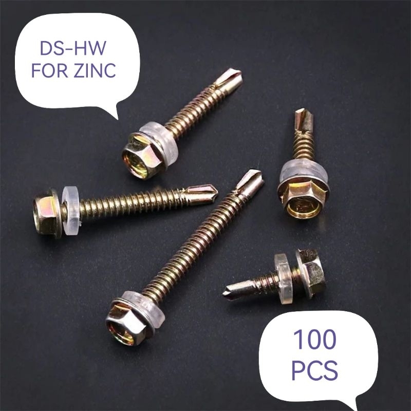 100 ชิ้น HEX SCREW DS-HW สําหรับ ZINC SELF DRILLING SCREW