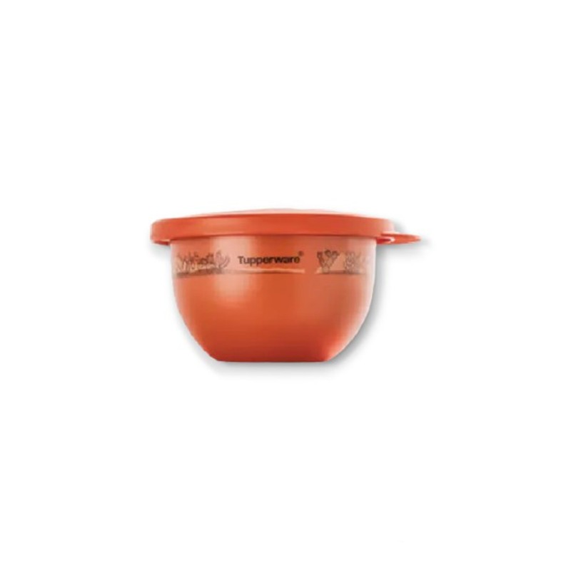 Tupperware Mini Expression Bowl 200ml/1.3L(2 ชิ้น)