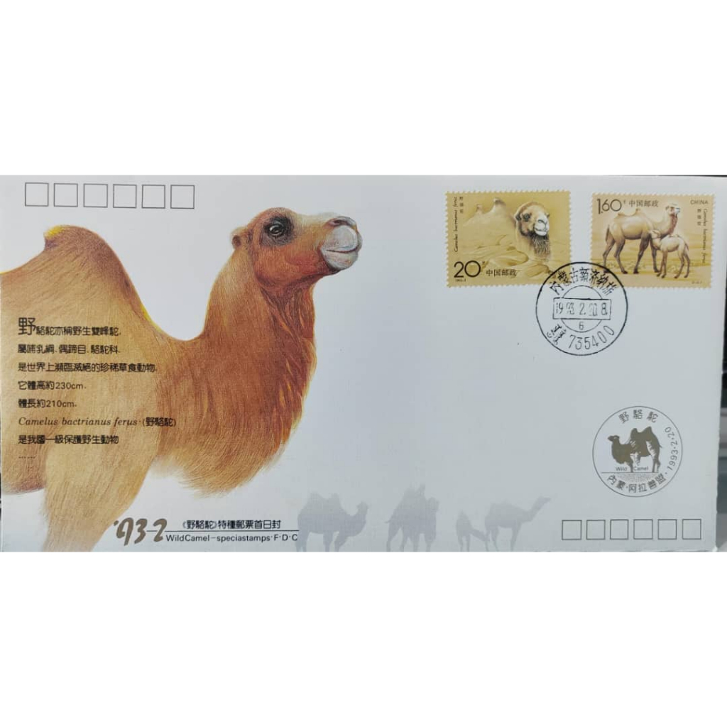 ปี 1993-3 ของแท้ ฝาครอบวันแรก 1993