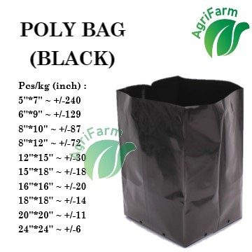 Polybag Nursery Growing Bag ถุงพลาสติกปลูก *5 ชิ้น*