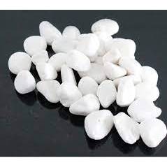 1 กก. PURE WHITE PEBBLE STONE GARDEN LANDSCAPE DECORATION AQUARIUM BATU KACANG PUTIH