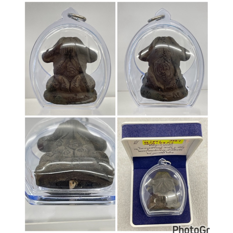 八手草药pidta Ac Plian wat kaormade 99