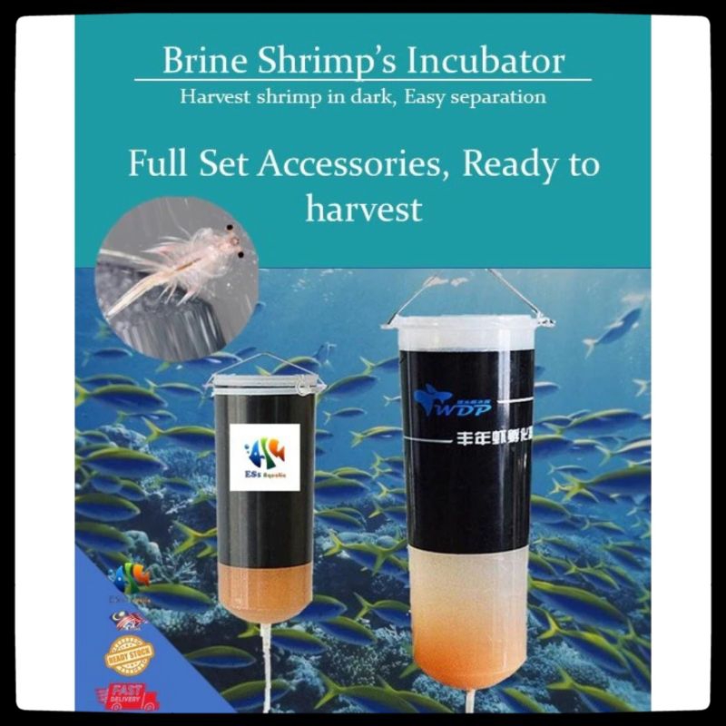 BBS Artemia Eggs Incubator Eggs Incubator Hatchery Artemia Eggs สําหรับ Aquarium Brine ไข่กุ้ง