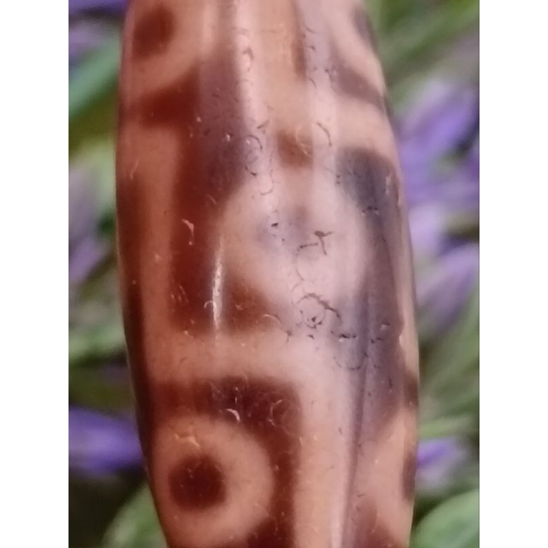 27.6 มม.x 10.5 มม.Nine-Eyed Dzi Bead Collection Nine-Times Moral Mercy Growth ผู้แต่ง Visible Self-T