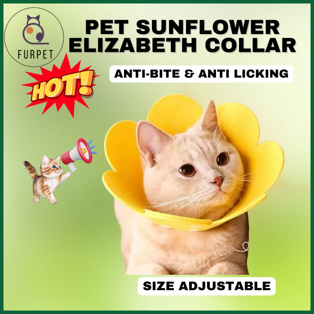 Furpet ปลอกคอแมวกรวย Elizabeth สัตว์เลี้ยงสุนัขคอคอ Colar Kolar Kucing Sakit E Collier Koler Leher K