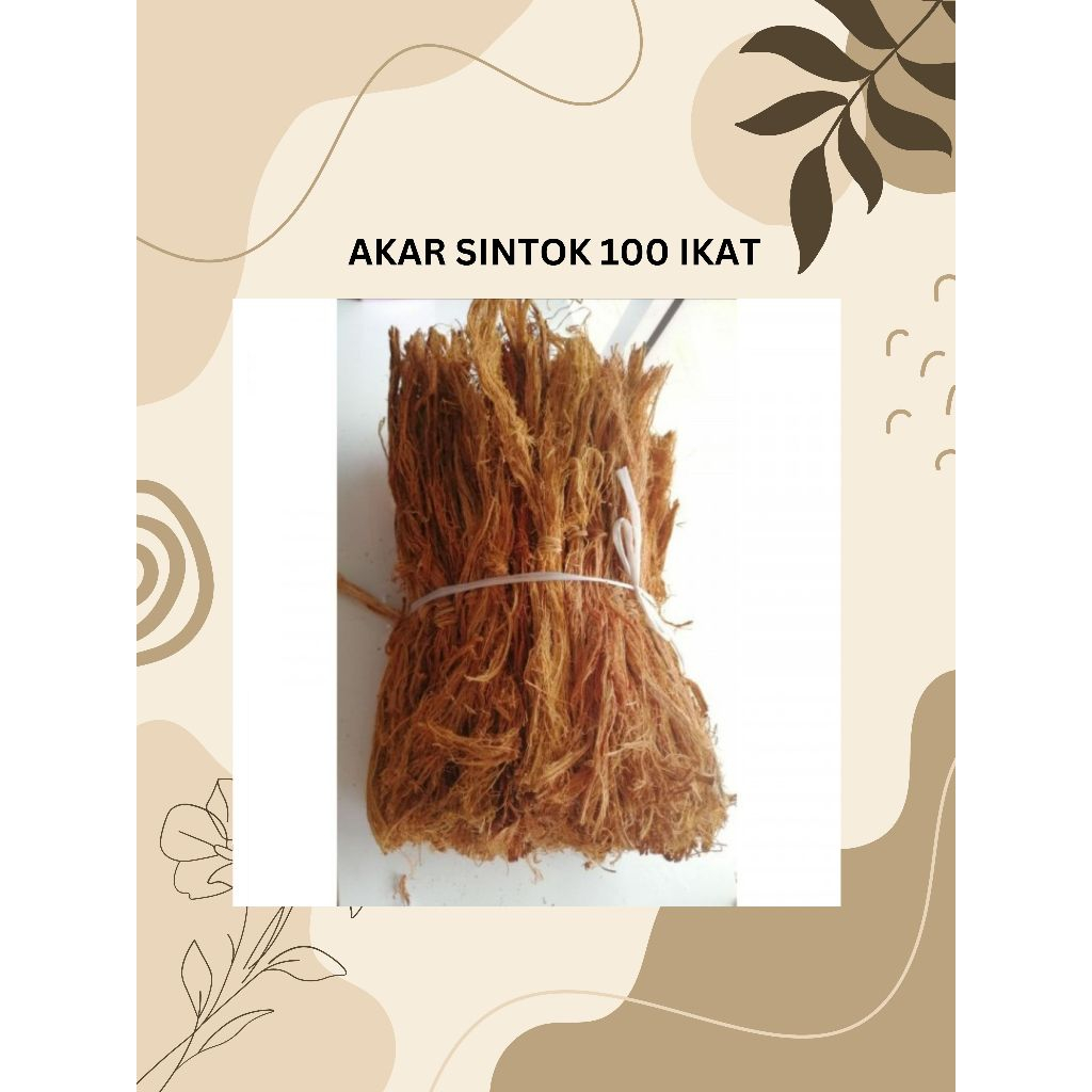 SINTOK ROOTS (100 BUNCH) BELURU ROOTS SINTOK MULTIPURPOSE ROOTS SINTOK VILLAGE ROOTS