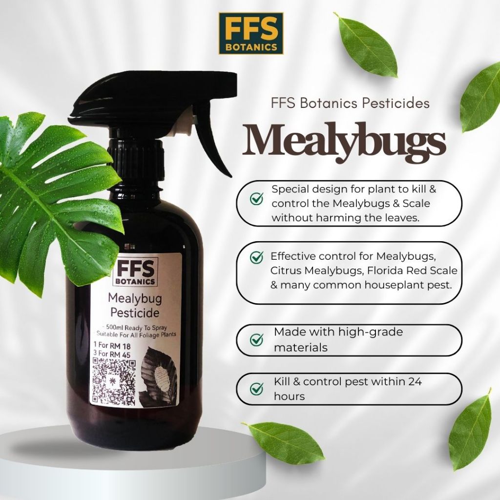 FFS (ควบคุมศัตรูพืช) Mealybugs 500ml