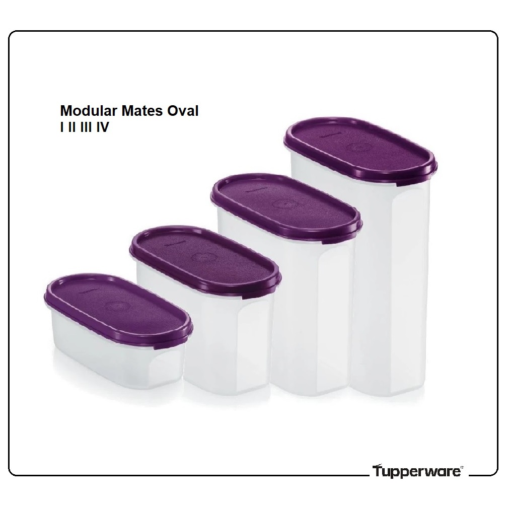 Tupperware Modular Mates Oval - ซีลสี Dewberry