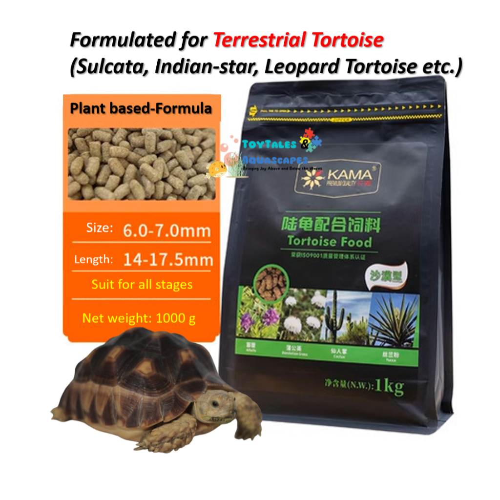 PORPOISE KAMA ISO9001 ได้รับการรับรอง Desert Tortoise Terrestrial Sulta, Leopard, Indian Star, Red F