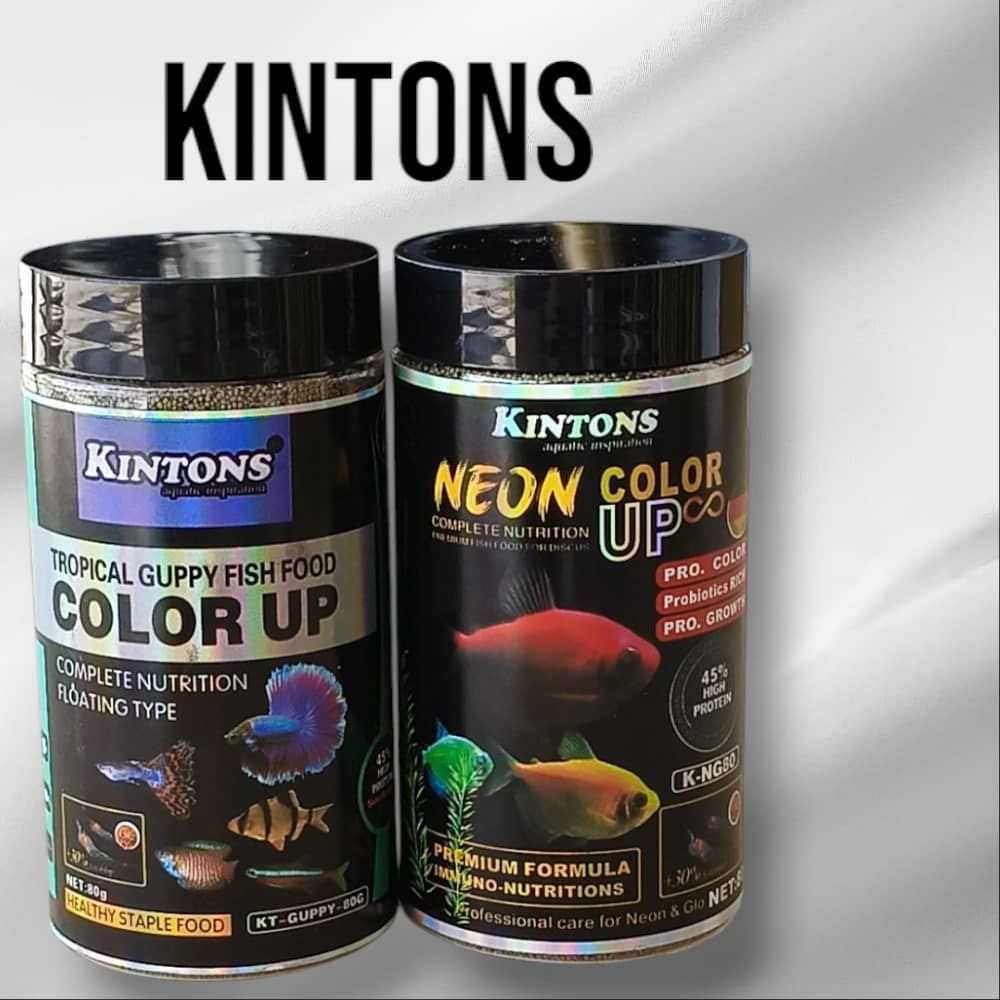 KINTONS (NEON COLOUR UP / TROPICAL GUPPY อาหารปลา COLOUR FOOD) 80G