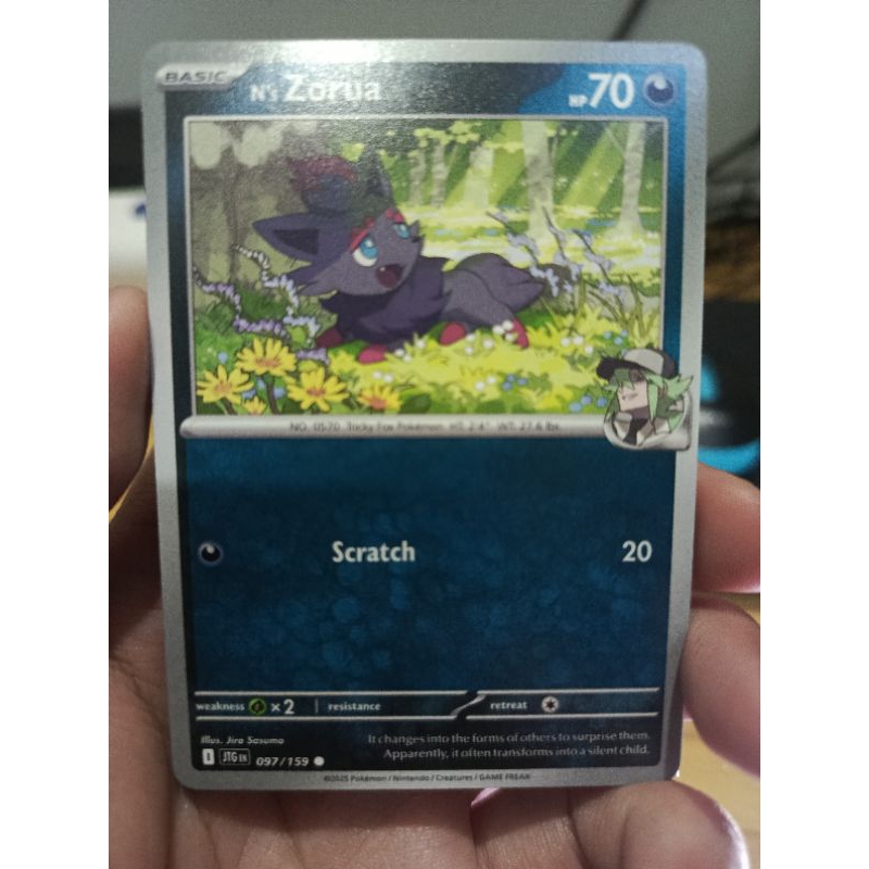 Pokemon TCG Ns Zorua Journey Together