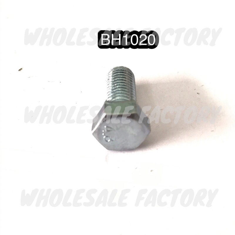 BOLT HEXAGON SCREW M10 x 20MM 30MM 40MM 50MM (1PC)