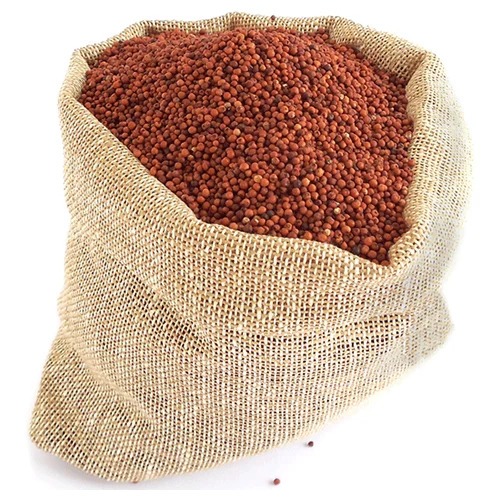 RAGI SEEDS / KELVARAGU / கேழ்வரகு 25KG (SACK OF 25KG)