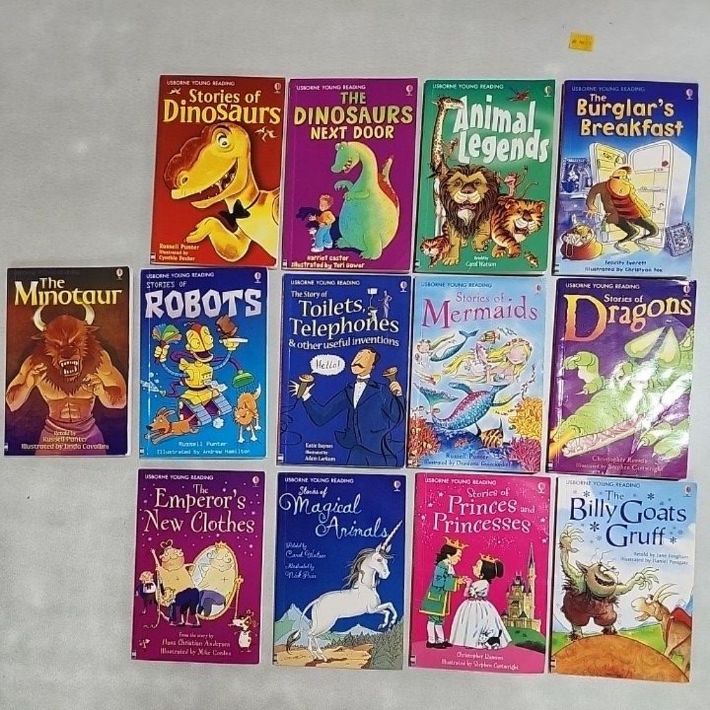 USED BB9 Usborne Young Reading