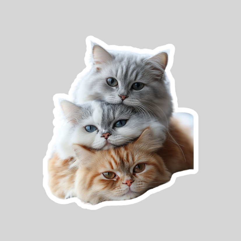 สติ๊กเกอร์ Cat Meme v6