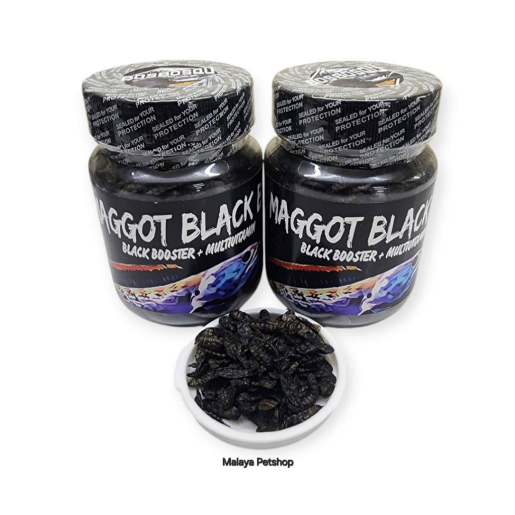 Maggot Black Bos 40 กรัม (Maggot Black Booster + Multivitamin)(Sesuai channa asiatica, andrao, maru)