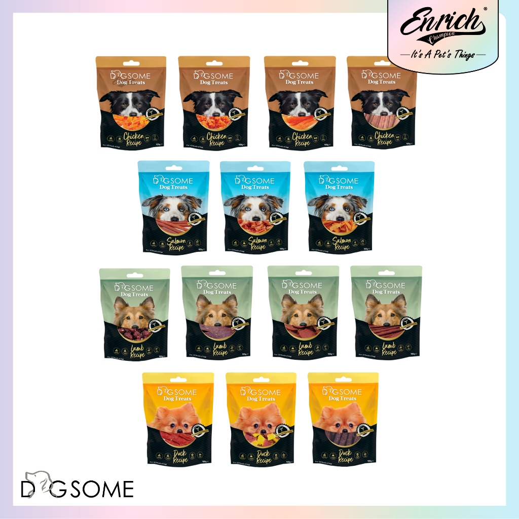 Dogsome Dental Care Stick/Dog Treat 100g (สุนัขทุกสายพันธุ์)_Chic/Lamb/แซลมอน/เป็ด