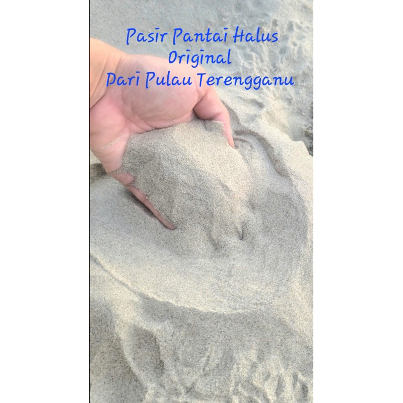 Terengganu Fine Beach Sand / ทรายของเล่น / Aquarium Clean Sea Sand / Aquarium Sand /Sea Sand/Sand Ar