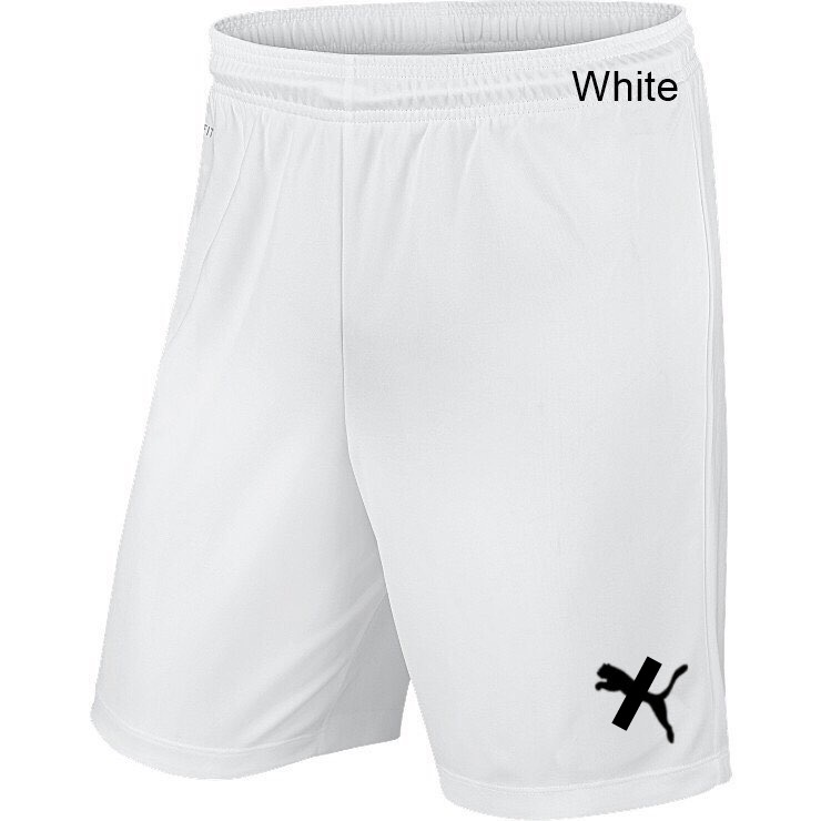 FUTSAL PANTS / SHORT PANTS / FOOTBALL PANTS / BADMINTON PANTS / SHORT PANTS / JERSEY / TRAINING PANT