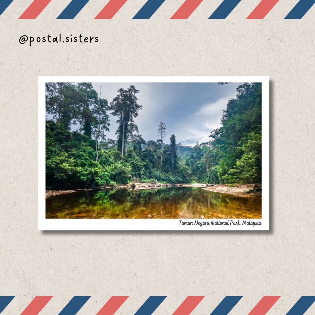 โปสการ์ด Taman Negara National Park (Pahang) การ์ดโพสต์ A6