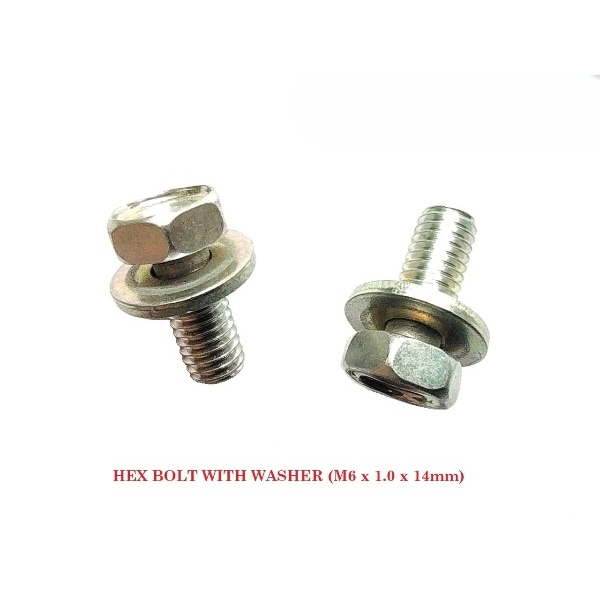 BOLT HEX WITH WASHER (M6 X 1.0 X 14mm)