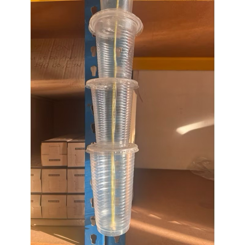 Benxon Cup PP360 PP500 PP700 ถ้วยเครื่องดื่มโปร่งใส Cawan Plastik Minuman 12oz ถ้วย 16oz ถ้วย 22oz ถ