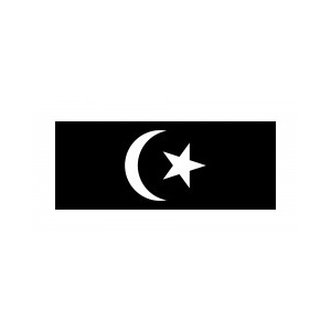 Terengganu Hand Flag/ Spring Flag / Car Flag / Bunch Flag Terengganu