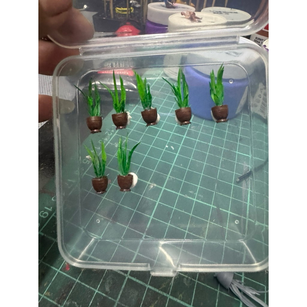 ต้นไม้ประดับ Diorama 1/64