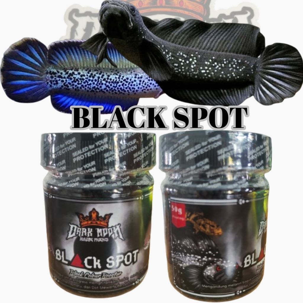 BLACK SPOT Channa Asiatica WC Dot Channa Sterwarti Tebal Bar Channa Maru แดงและเหลือง