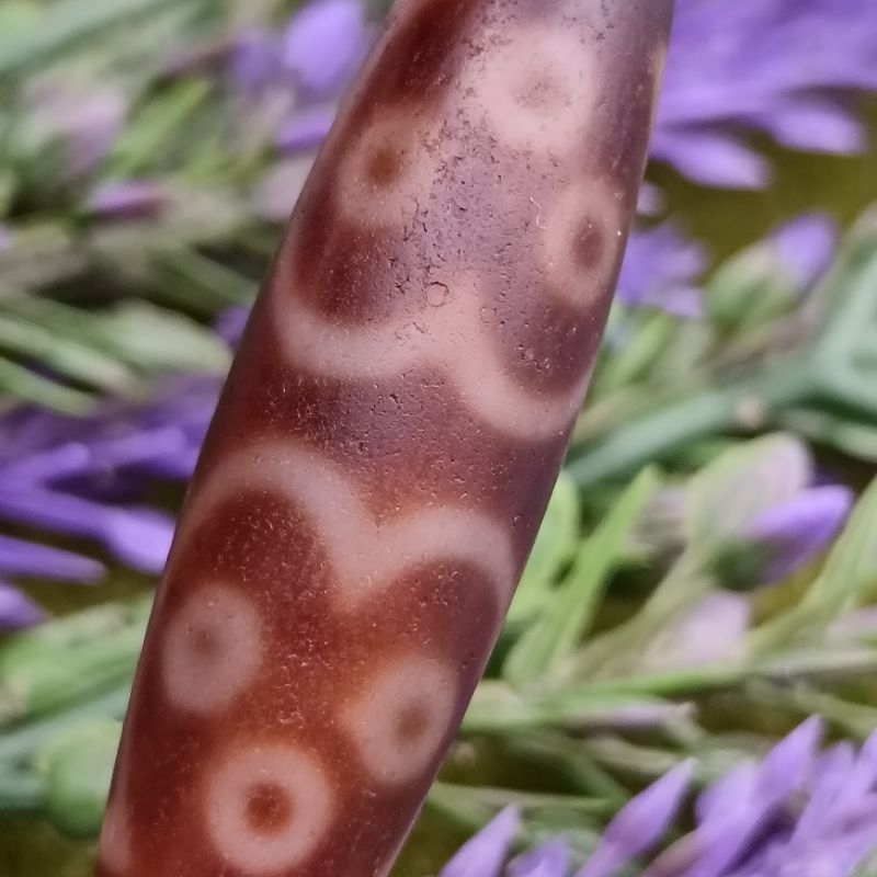 39.- มม.X 11.4 มม.เก่า Mine Eleven-Eyed Dzi ลูกปัดสามารถห้าตารางพระพุทธรูปและหกตัวอักษร Great Ming M