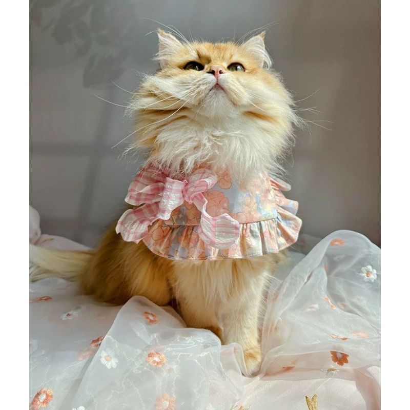Selensang Kucing Miuniwoo Peach Puff Bib Kolal / Tuala Air Liur Kucing