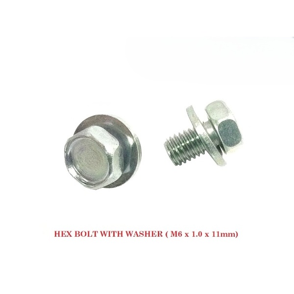 BOLT HEX WITH WASHER (M6 x 1.0 x 11mm)
