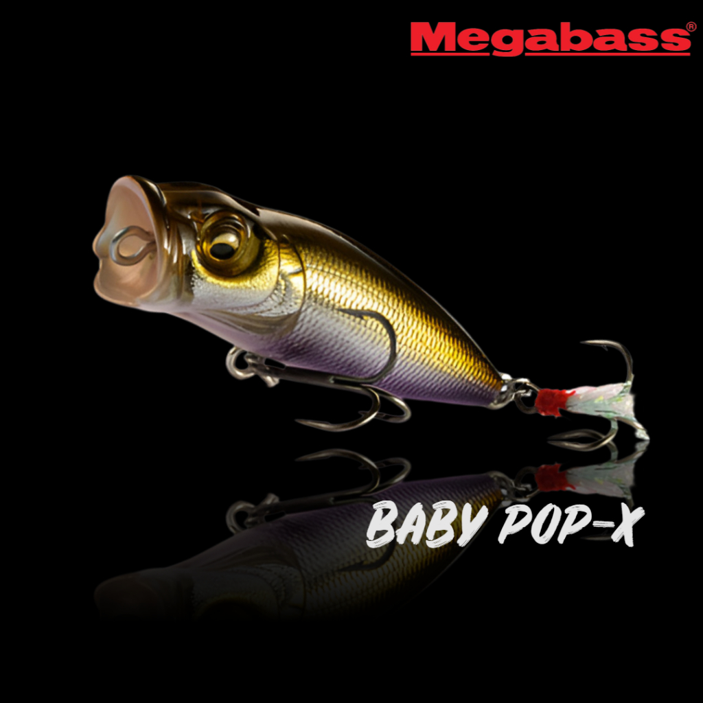 MEGABASS - BABY POP-X 50mm 5.3g ฟลอทาติ้ง LURE TOP WATER