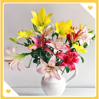 【Next-day-delivery】 Fresh-cut Lilies~ Bunga Lily Segar ~ Fresh Flowers direct ship from Cameron Highlands