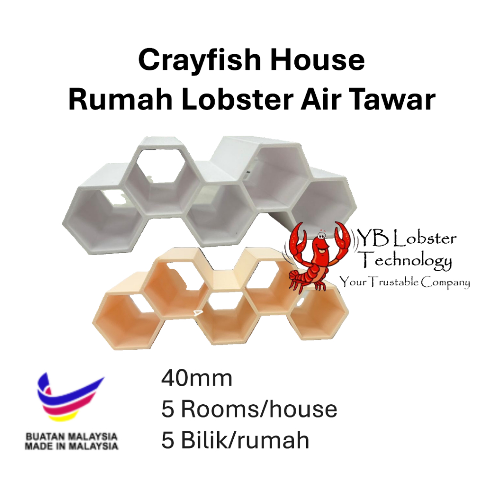 YB บ้านกุ้งก้ามกราม | YB Lobster Rumah Lobster Air Tawar