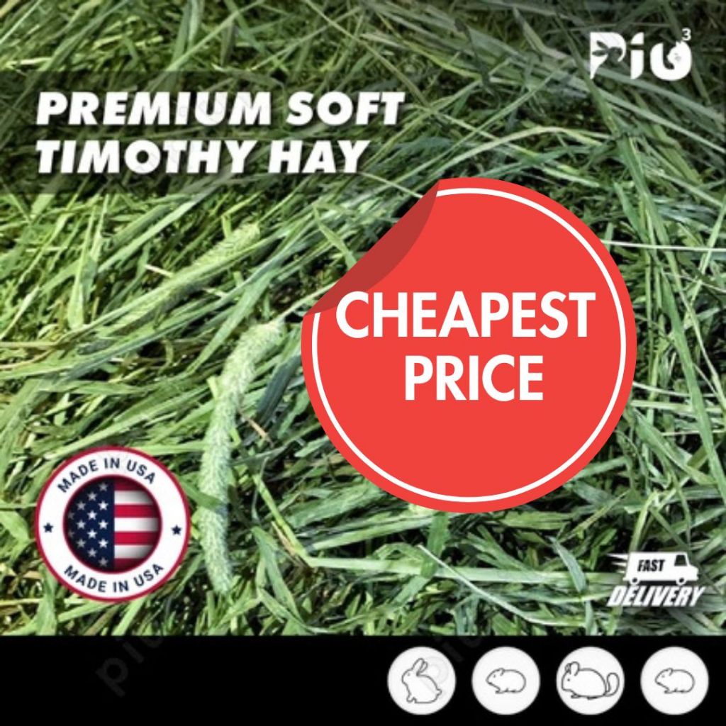 [24HR SHIP] PREMIUM SOFT TIMOTHY HAY นําเข้า Timothy Alfalfa Orchard Lucerne Hay กระต่าย Guinea Pig 