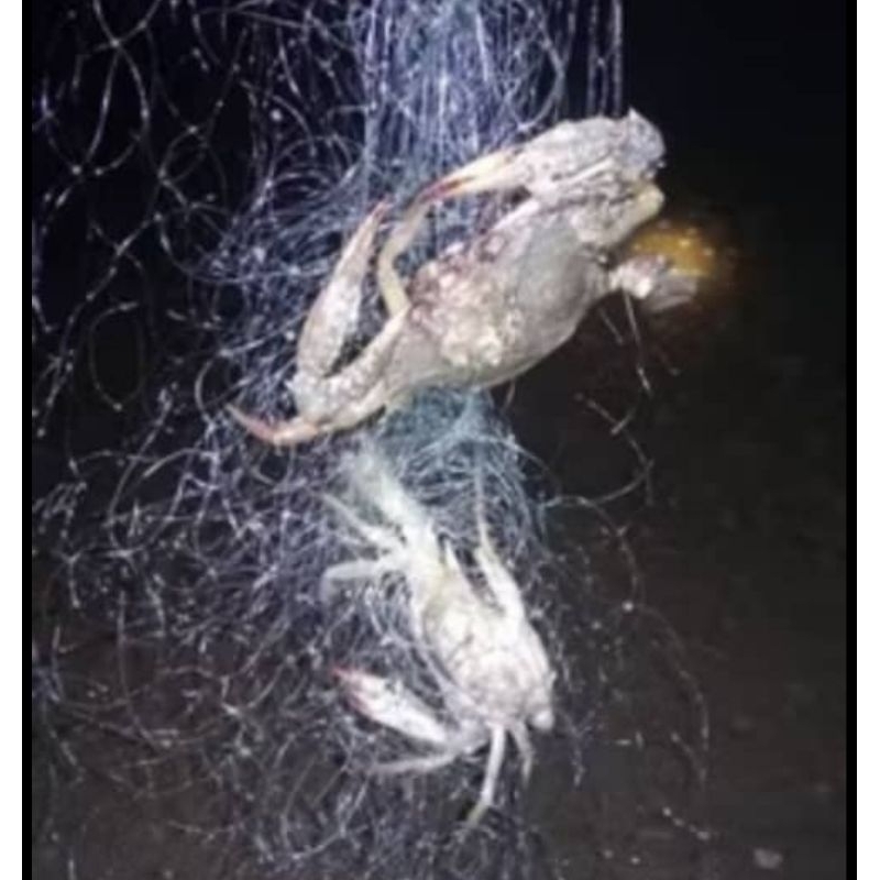 CRAB FISHING NET พร้อม 3 ชั้น JARING PANCING KETAM VIRAL JARING KETAM 3 LAPIS CRAB NET