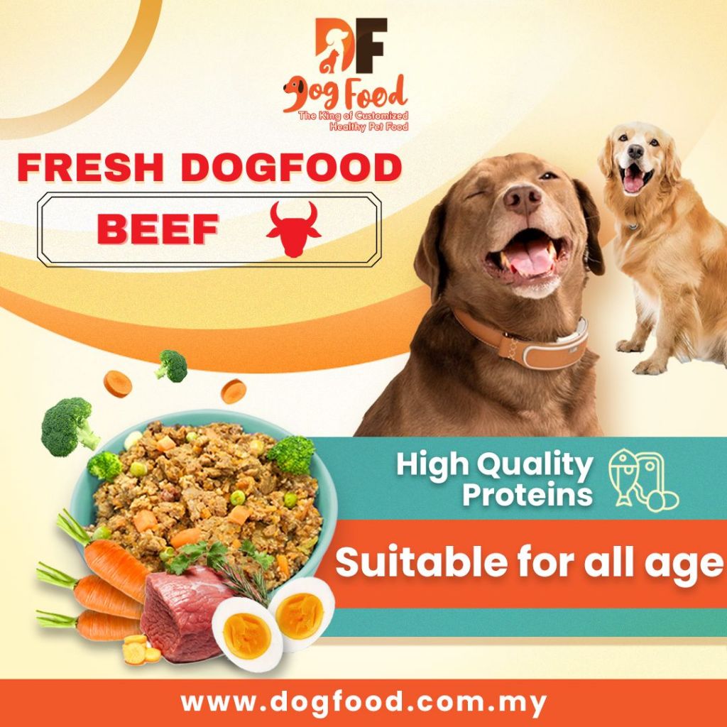 DF Fresh Dog Food - Beef Grain Free (5x Packs) - อาหารเปียก