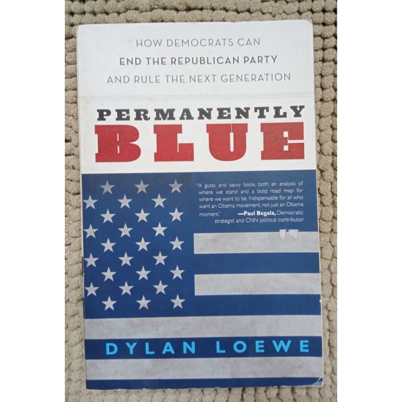 Preloved PERMANENTLY BLUE dylan loewe