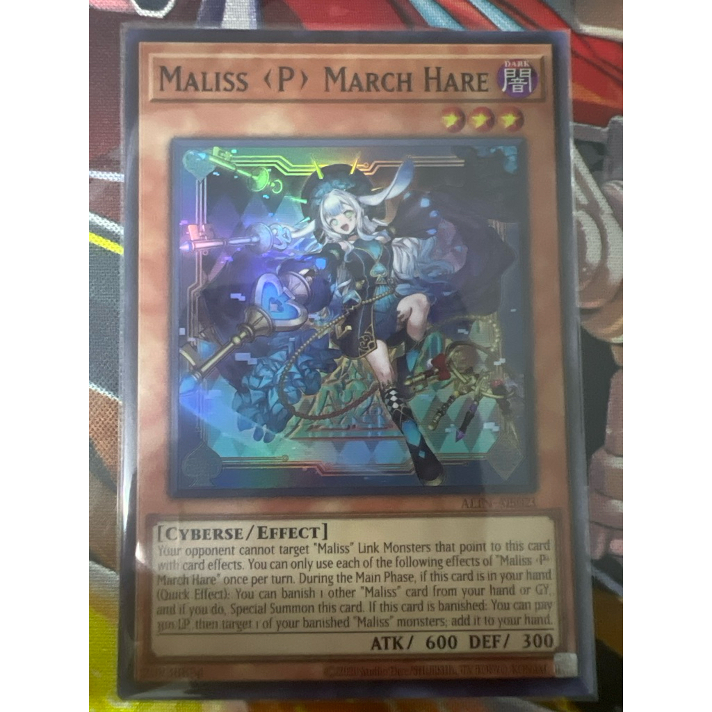 ALIN-AE023 Malissa <P> มีนาคม Hare SR