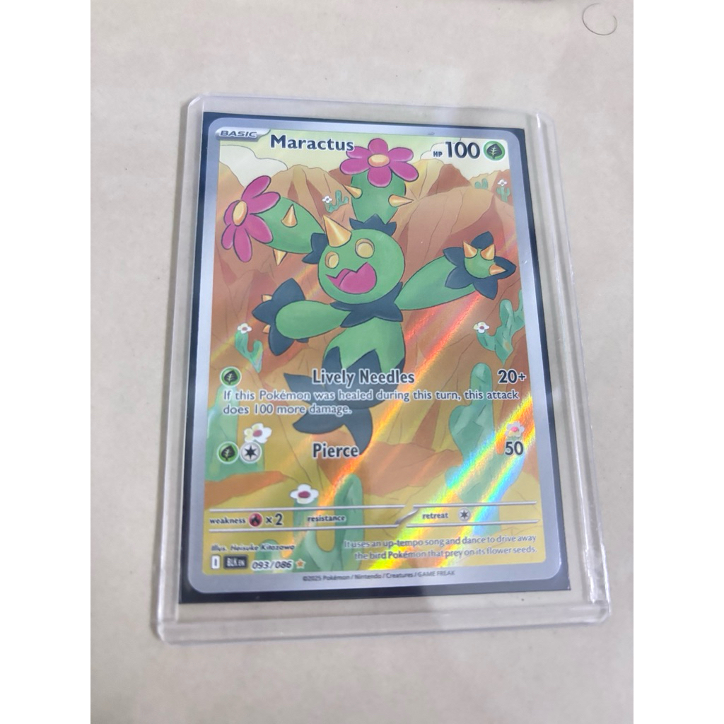 กล่องเทรนเนอร์ Pokemon elite ETB IR Maractus - 093/086 - SV: Black Bolt White Flare English