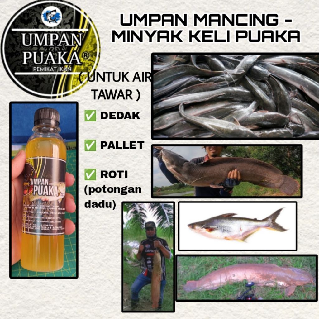 AMT (250ML) PUAKA BAIT - PUAKA KELI เหยื่อน้ํามันสําหรับ POND, RIVER, Patin, Mekong FISHING OIL