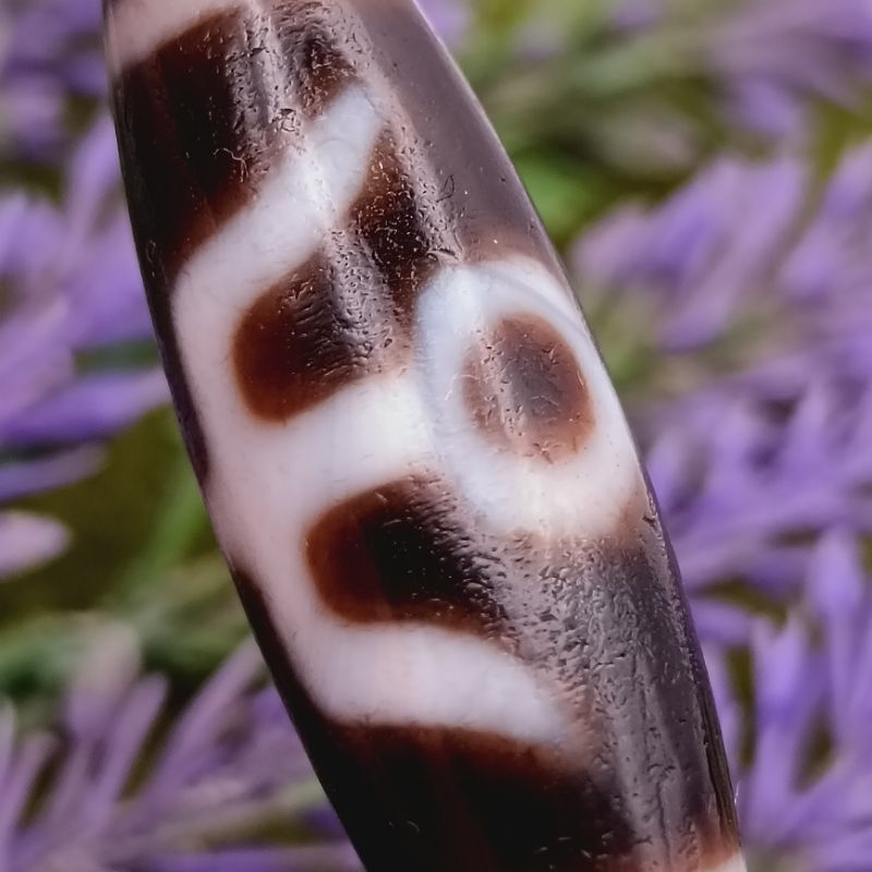 36.9 มม.x 12.3 มม.น้ํามัน Cinnabar Noble Dzi Dzi ผู้ใหญ่ Dzi Dzi Dirotrot Dzi Monseigneur Dzi Manik 