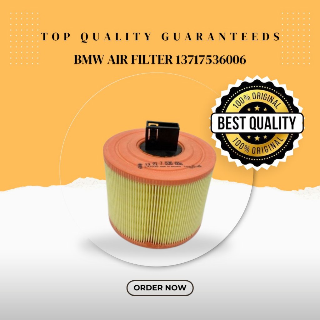 BMW AIR FILTER  1 Coupe (E82), 3 (E90), 3 Coupe (E92) 13717536006