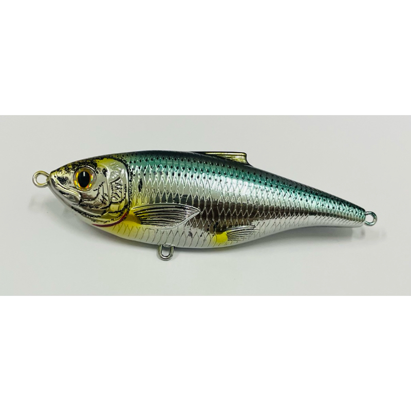 LIVE TARGET SCALED SARDINE