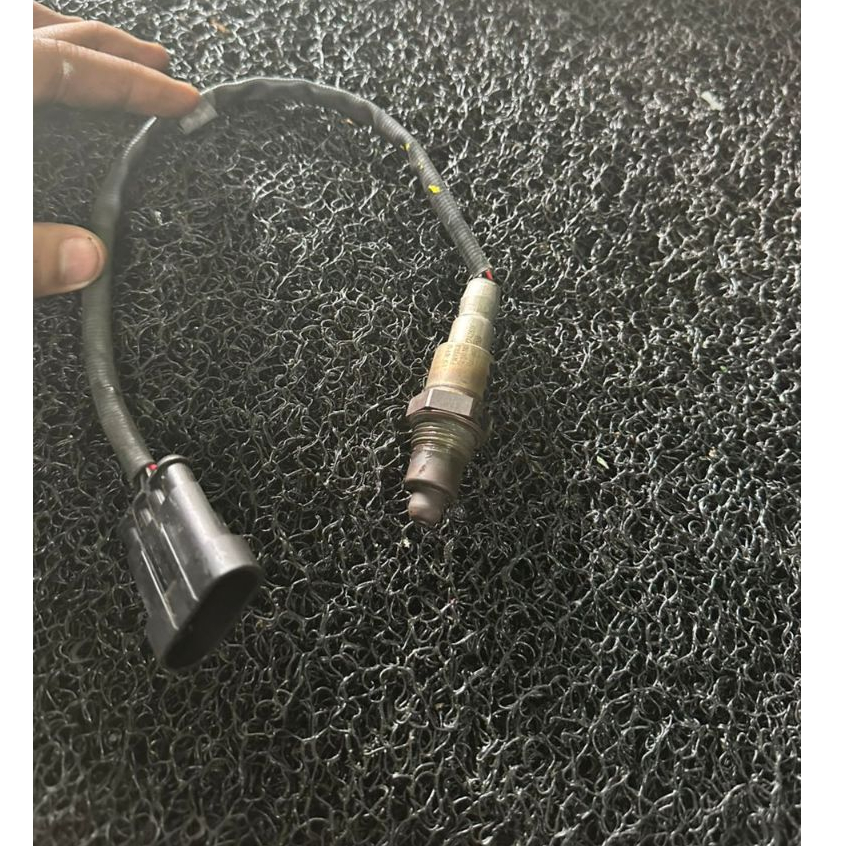 02 SENSOR PROTON EXORA BOLD