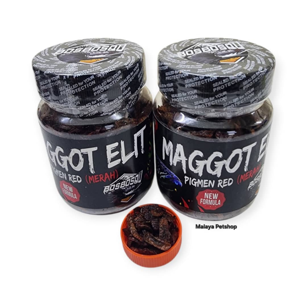 Elite Maggot 40 กรัม ผลิตโดย Boss BosQu (เคราเม็ดแดง เหมาะสําหรับ channa red maru ฯลฯ)