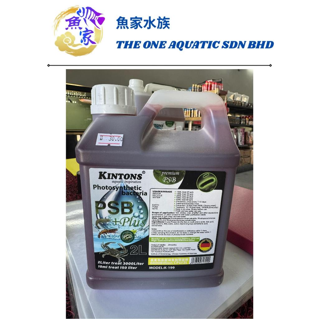 Kintons PSB + Plus สังเคราะห์แสง Bacteria Water Treatment บ่อปลาก้อย ตู้ปลา