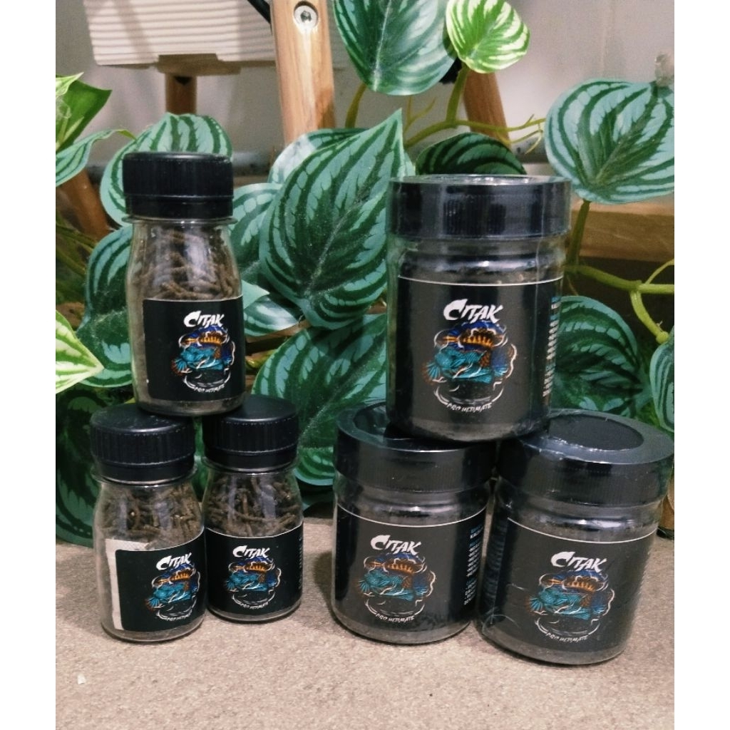 แพ็คใหม่!!!!เม็ดอาหารกบบริสุทธิ์ channa auranti by kurawa กบ 100%/katak+kalsium kemasan 30g/60gr