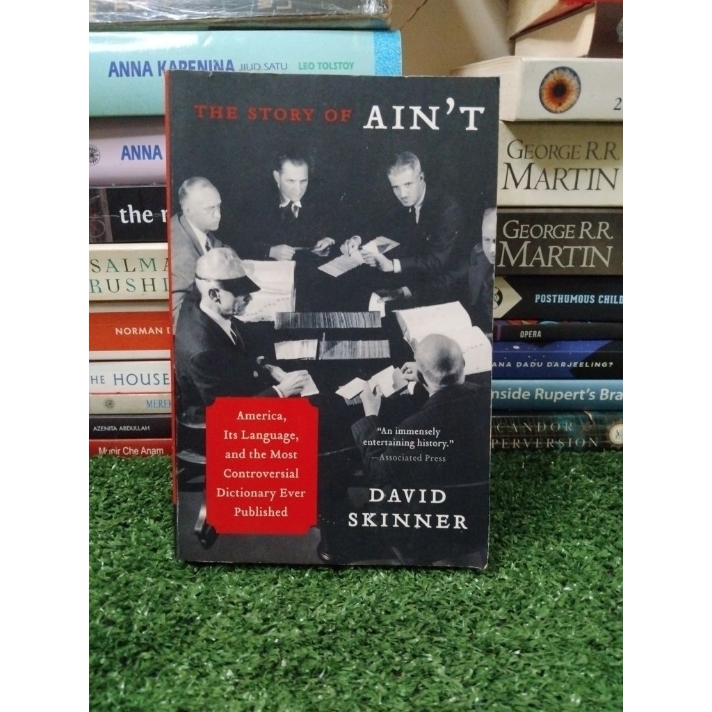 เรื่องราวของ AINT โดย David Skinner